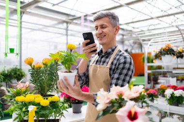 Serada bir adam akıllı telefonuyla bir bitkinin fotoğrafını çekiyor..