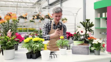 Çiçek ve bitkilerle çevrili bir bitki dükkanında ya da serada akıllı telefon kullanan önlüklü bir çiçekçi..