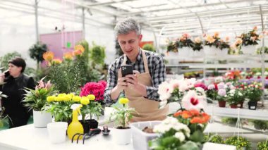 Önlüklü, gülümseyen bir adam, renkli çiçek ve bitkilerle dolu canlı bir serada dururken telefonunu kullanır..