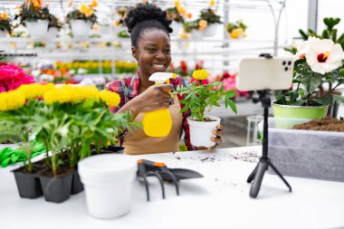 Seradaki bir kadın, elinde saksı çiçeği ve sprey şişeyle, telefonuyla kayıt yaparken bitki bakımını gösteriyor..