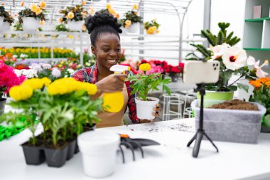 Gülümseyen siyah bir kadın, çiçeklerle ve bahçe aletleriyle çevrili bir seradaki canlı bir derede bitkiyi ilaçlıyor..