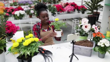 Afrikalı bir Amerikalı kadın, bir serada bahçıvanlık dersi çekerken bir bitkiyi ilaçlıyor..
