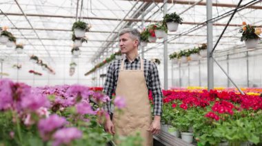 A smiling man in an apron stands in a greenhouse, surrounded by colorful flowers.