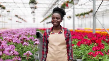 Gülümseyen Afrikalı kadın, ekose gömlek ve önlükle renkli sardunyalarla dolu bir serada duruyor..