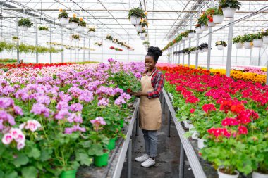 Bir Afrikalı Amerikalı kadın, bir serada renkli çiçeklerle ilgilenirken gülümsüyor..