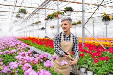 Bir bahçıvan serada canlı çiçekler açıyor, yemyeşil ve renkli bir çiçek sergiliyor..