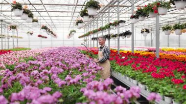 Serada çiçekleri sulayan gülümseyen bir bahçıvan. Rengarenk çiçekler ve sallanan sepetler canlı bir ayar oluşturuyor..