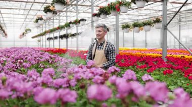 Gülümseyen bir bahçıvan renkli çiçeklerle çevrili canlı bir serada çiçekleri sulayarak bahçıvanlık güzelliği manzarası yaratır..