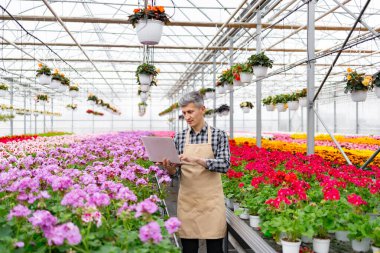 Seradaki bir adam çiçekleri inceler, bu renkli ortamda çiçekleri dizüstü bilgisayarla idare eder. Asılan sepetler ve çeşitli çiçekler canlı bir sahne oluşturur..