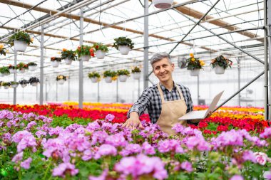 Gülümseyen bir sera işçisi çiçeklerin rengarenk çiçeklerle çevrili dizüstü bilgisayarını inceler..