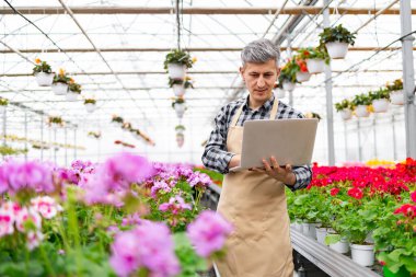 Serada bir adam, canlı çiçeklerin arasında dizüstü bilgisayarla çalışıyor, tesisleri yönetiyor..