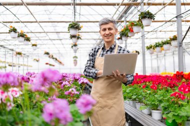 Gülümseyen bir çiçekçi bir serada duruyor, bitkileri yönetmek için dizüstü bilgisayar kullanıyor..