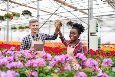 İki farklı sera işçisi başarılı bir günü çiçek açan bir beşlikle kutluyor..