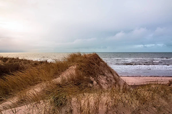 Duna Areia Oceano Perto Hvide Sande Dinamarca — Fotografia de Stock