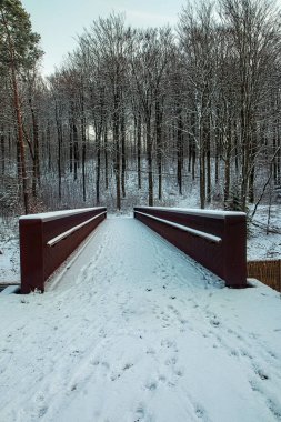 Danimarka 'nın Silkeborg kenti yakınlarındaki bir ormanda çelik köprü.