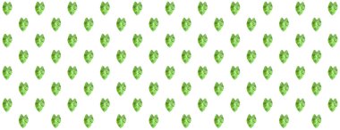 Colocasia Lemon Lime Gecko duvar kağıdı geometrik dikişsiz desen, klasik arkaplan soyut dokusu