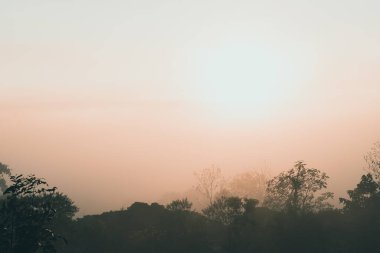Güzel dağ ormanında gün doğumu. Yükselen güneş sisli dağ yamaçlarında.