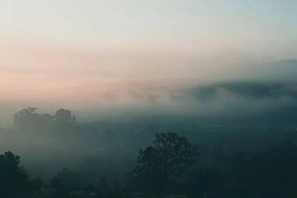 Napkelte Gyönyörű Hegyi Erdőben Felkelő Nap Ködös Hegyi Lejtőn — Stock Fotó