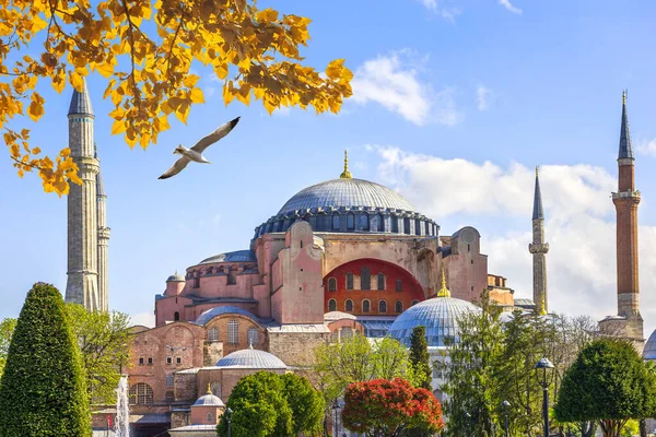 Big Seagull Flying Hagia Sophia Istanbul Turkey — Stock Photo, Image