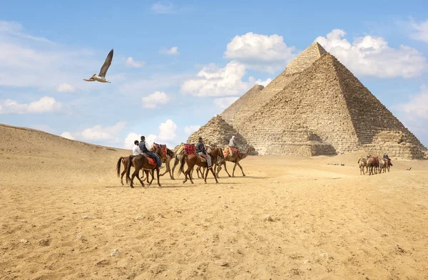 Equitazione Alle Piramidi Egiziane Giza Nella Soleggiata Giornata Estiva Immagini Stock Royalty Free