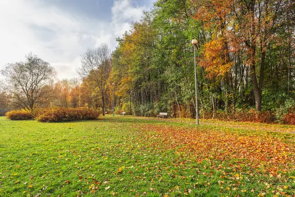 Güneşli bir sabah Polonya 'da sonbahar şehir parkındaki banklar