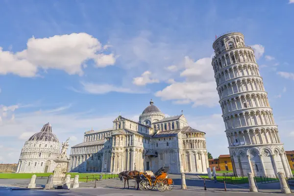 At arabası meydanda, Pisa eğik kule ve katedrallerle, İtalya