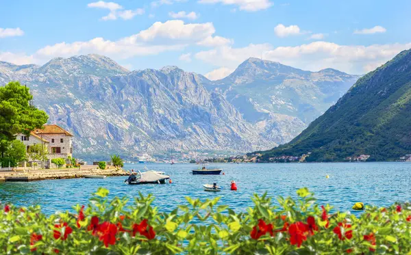 Güzel yazda açan çiçekler Perast, Karadağ