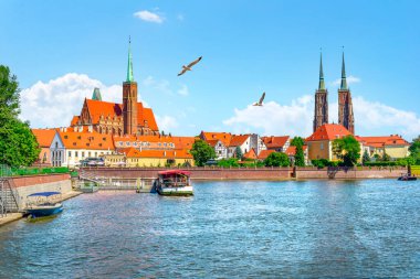 Polonya 'nın Wroclaw şehrinde Odra nehrinin üzerindeki kuşlar