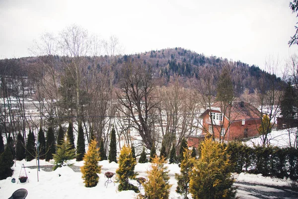 Kışın Polonya, karda şehir manzarası. Kış ve Noel tatili kavramı