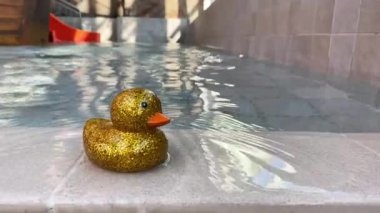 Rubber Duck su yüzeyinde yüzer. Güzel yüzme havuzunda plastik ördek. Neşeli ve neşeli bir atmosfer. Oyun zamanı. Yaz. Güneşli bir gün.