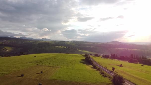 Tembakan Drone Terbang Atas Bukit Gunung Yang Indah Menonton Pohon — Stok Video