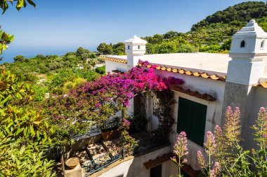 Parlak bir bitki örtüsüyle kaplı bir villa. Bereketli bir çevrede. Okyanus da güneş ışığıyla kaplı..