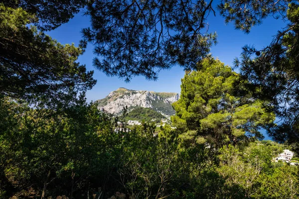 Mount Solaro Auf Der Insel Capri Umrahmt Von Vegetation Einem — Stockfoto