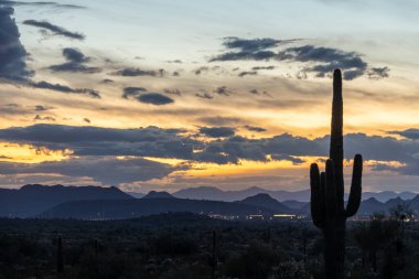 Sunset in the Sonoran Desert of Arizona with mountains and saguaro cacti and other desert vegetation.