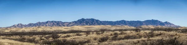 Panorama Distant Mountain Range Hills Covered Grass Forground Arizona — Fotografia de Stock