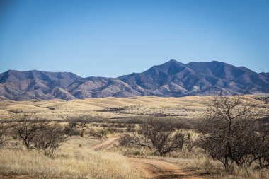 A dirt road leading off into the distance to mountains on the horizon under a clear blue sky.