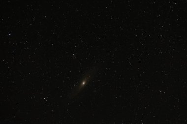 Andromeda Galaksisi, yıldızlı bir arka planda yumuşak bir şekilde parıldar..