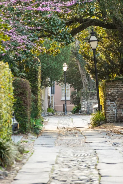 Gammal Gränd Staden Charleston Med Kullerstensgata Och Ett Grönt Krontak — Stockfoto