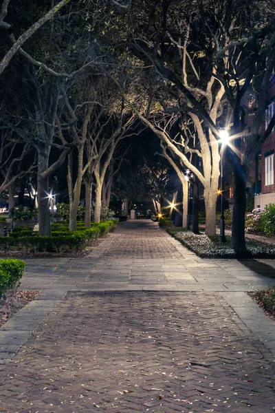 Blick Auf Den Fußweg Eines Stadtparks Bei Nacht Mit Lichtern — Stockfoto