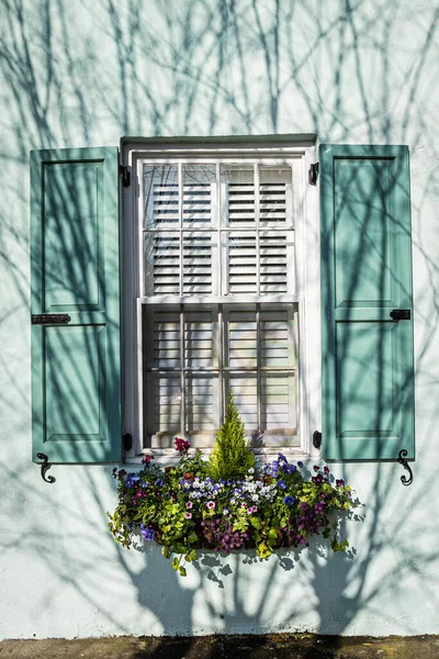 Gros Plan Sur Les Fenêtres Couleur Une Maison Coloniale Charleston — Photo