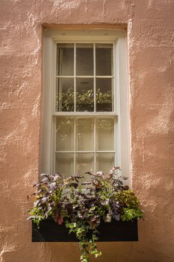 Güney Carolina, Charleston 'da bir sömürge döneminin renkli pencerelerini kapatın.
