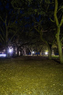 Geceleri karanlık bir park. Her iki tarafında meşe ağaçları ve birkaç park ışığı var..