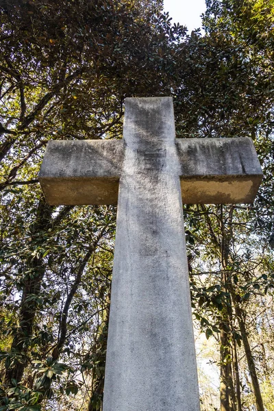 抬头看着站在森林里的一个巨大的石头十字架 — 图库照片