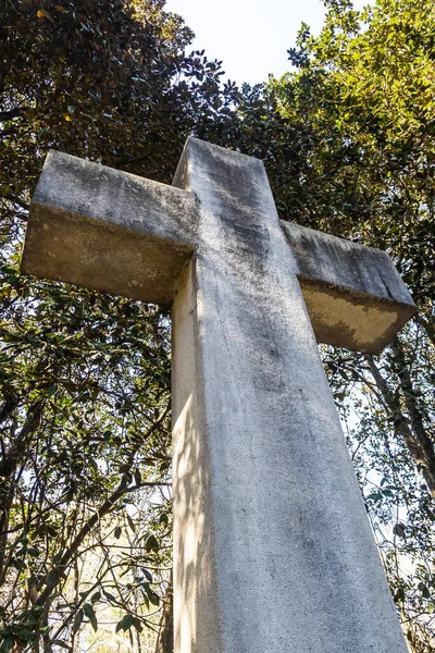 Blick Auf Ein Sehr Großes Christliches Steinkreuz Das Einem Wald — Stockfoto