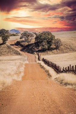 A lonely dirt road through the grasslands along the border between the United States and Mexico in Arizona.