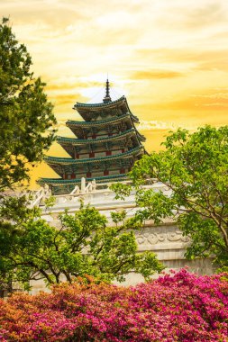 Gyeongbokgung Sarayı'na bir yeşillik çerçevesi ile bakmak.