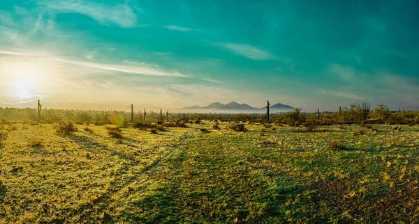 Panorama Rare Morning Fog Phoenix Sonoran Desert Preserve Central Arizona — Stock Photo, Image