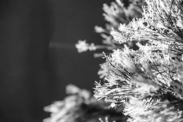 Närbild Tallbarr Konstgjord Julgran Med Bokeh Effekt — Stockfoto