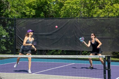 Two pickleball players in action at the net on a suburban pickleball court during summer.