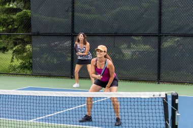 Two pickleball players prepare to return a ball on a suburban pickleball court during summer.
